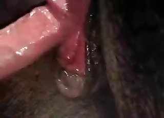 Homosexual fellows are totally banging this hot horse