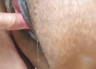 Atriz porno gostosa dando buceta depilada - Fine brown stallion fucked hard in doggie